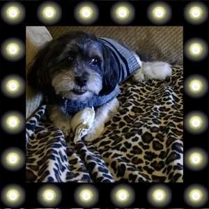 Meet your Posher, Staci